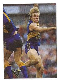 1990 Select AFL Stickers #235 Chris Mainwaring Front